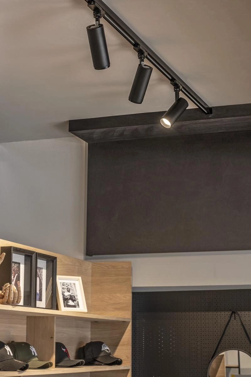 Railspot 3-phasé Numinos S Dali noir 3000K - 60 deg SLV 4024163245227