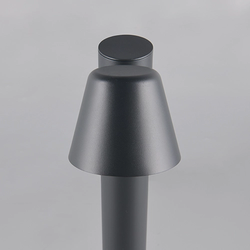 Lampe de jardin 100cm Beni anthracite Trio 4017807691450