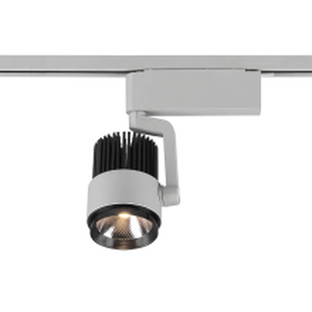 Moquerie Radiator titane Trio 4017807505924