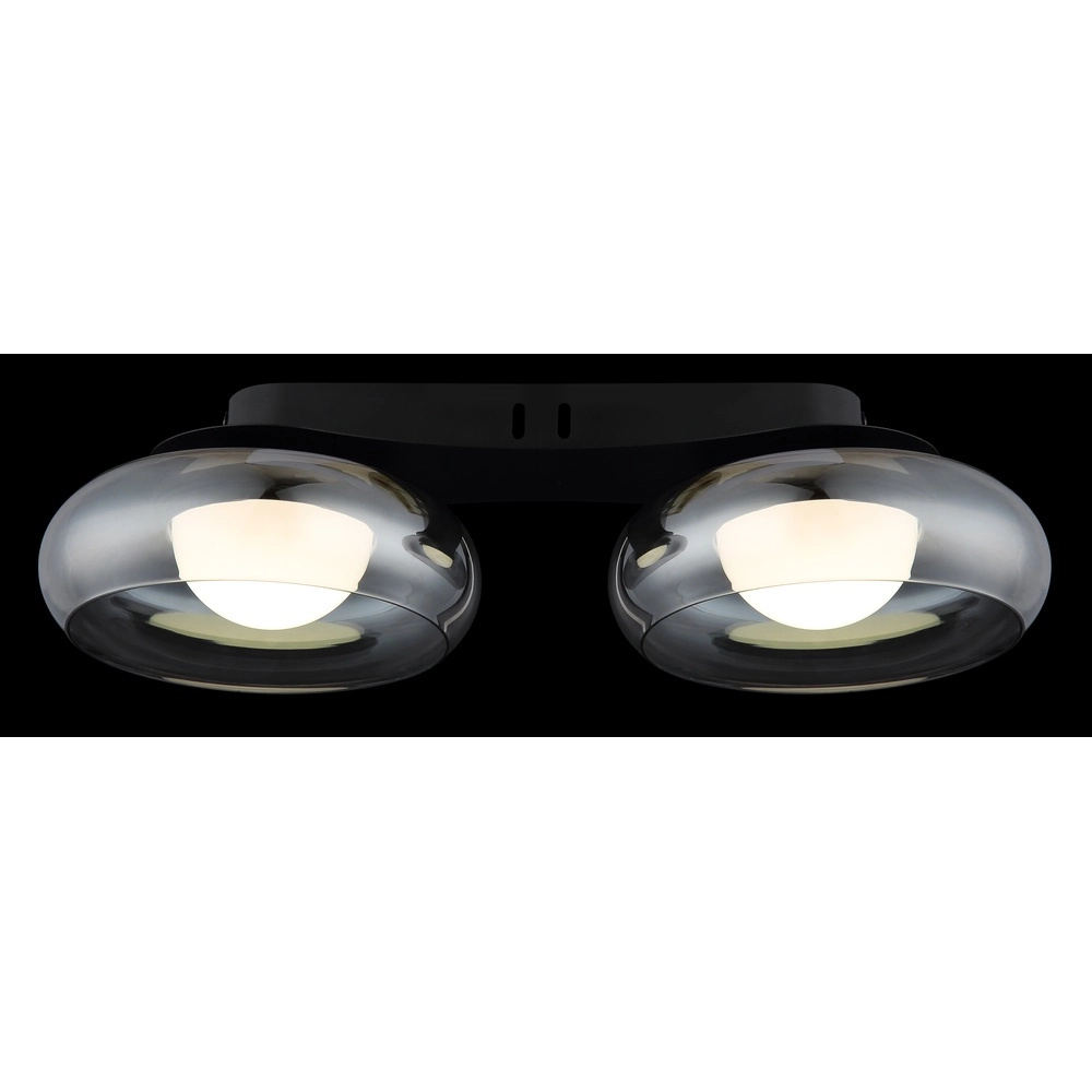 Lampe de plafond à design Carlene 2-noir clair Globo 9007371569175