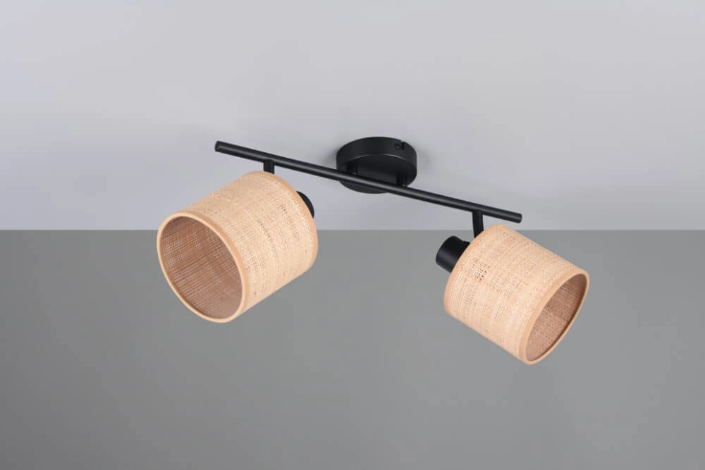 Plafonnier 2 lumières Aimee avec des bouchons de crème Trio 4017807637342