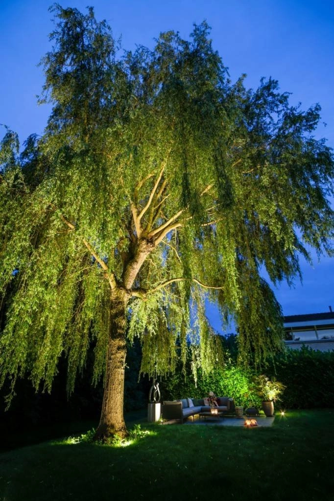 Spot pour le sol Big Nero (Update) LED 12 volts In-lite 8717051004490