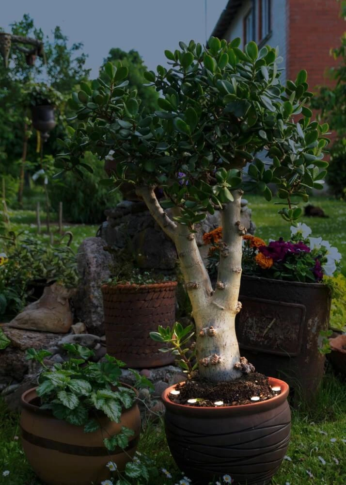 Lumières de miroir Spinetoli 2 Eglo 9008606231621