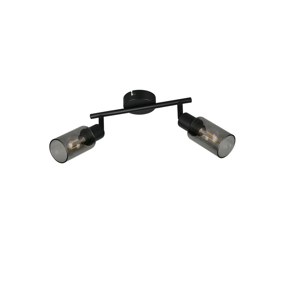 Lampe de plafond à design Mars 2-noir clair Trio 4017807670479
