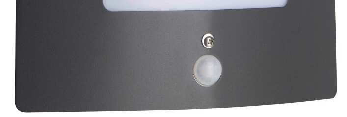 Lampe d'extérieur anthracite Todd avec capteur Brilliant 4004353121395