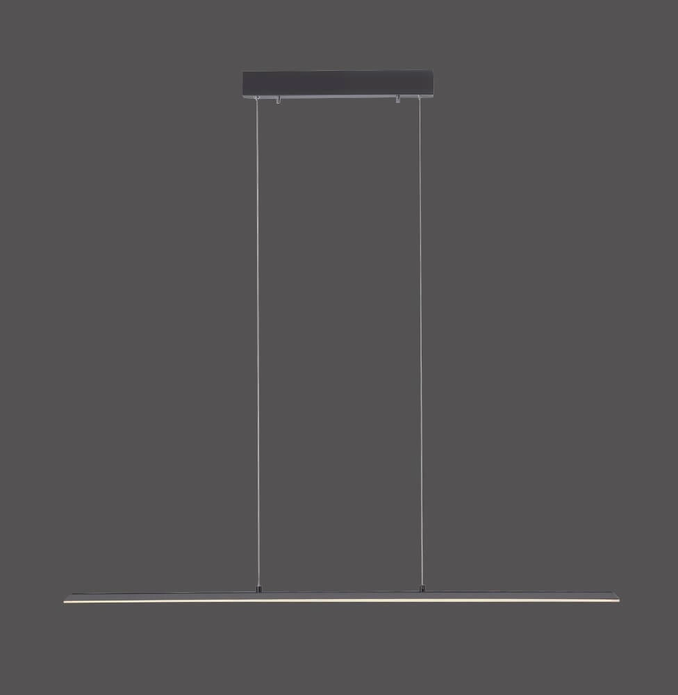 Lampe suspendue design Pure Lite 100 cm anthracite Paul Neuhaus 4012248344873