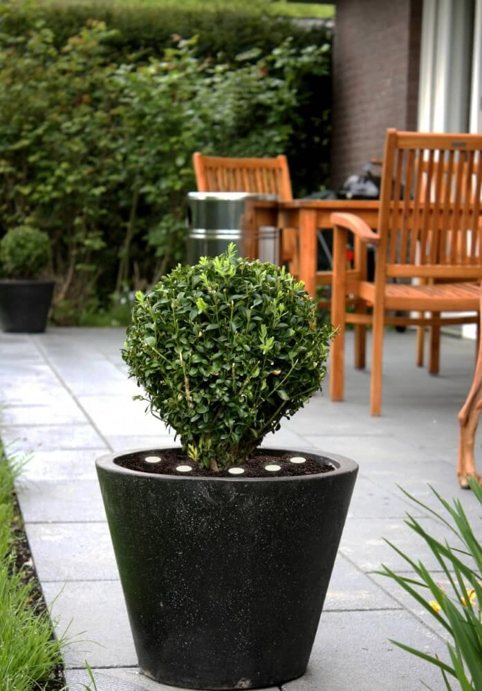 Lumières de miroir Spinetoli 2 Eglo 9008606231621