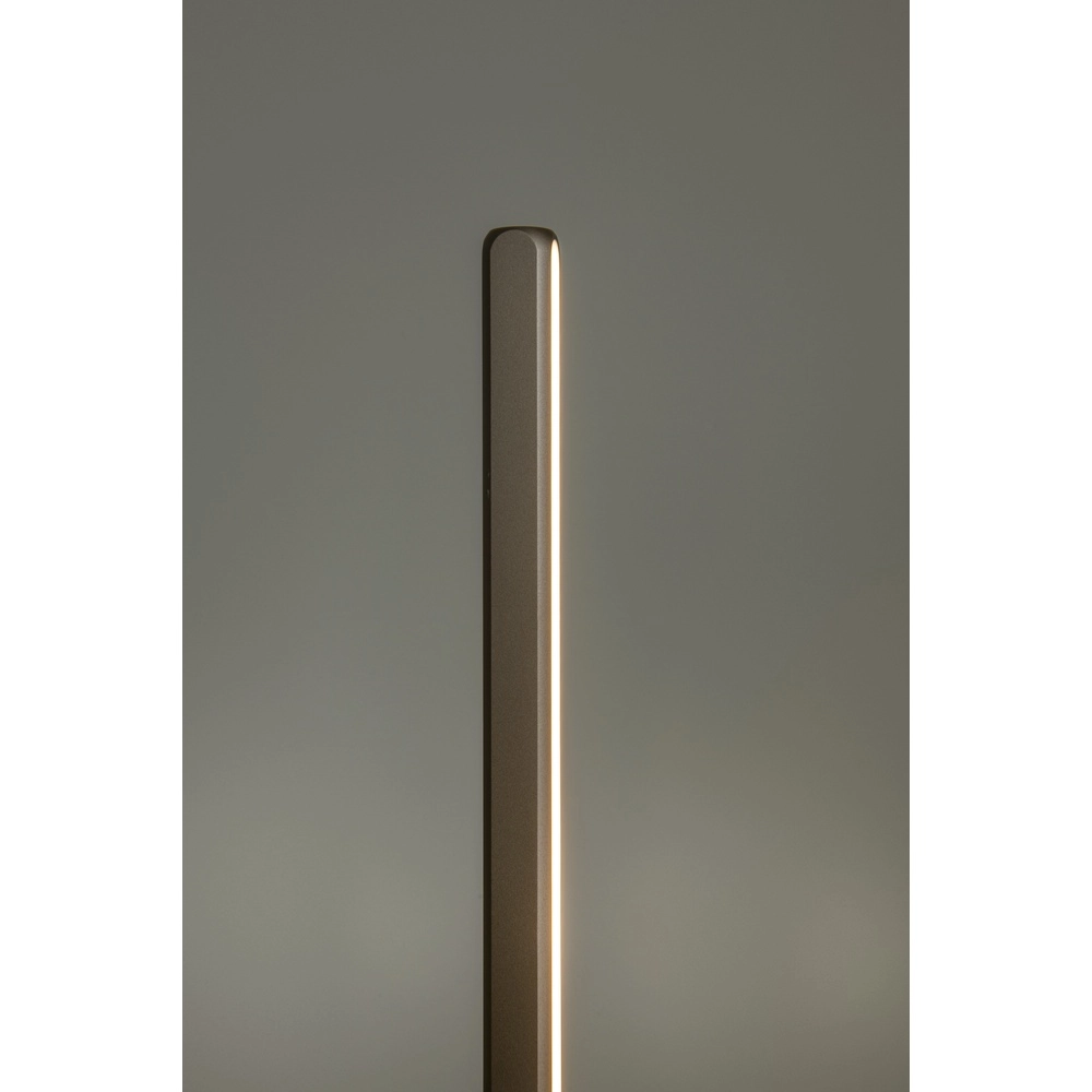Lampe sur pied LED de 155 cm Braga Champagne Premium by Lucide 5411212234452