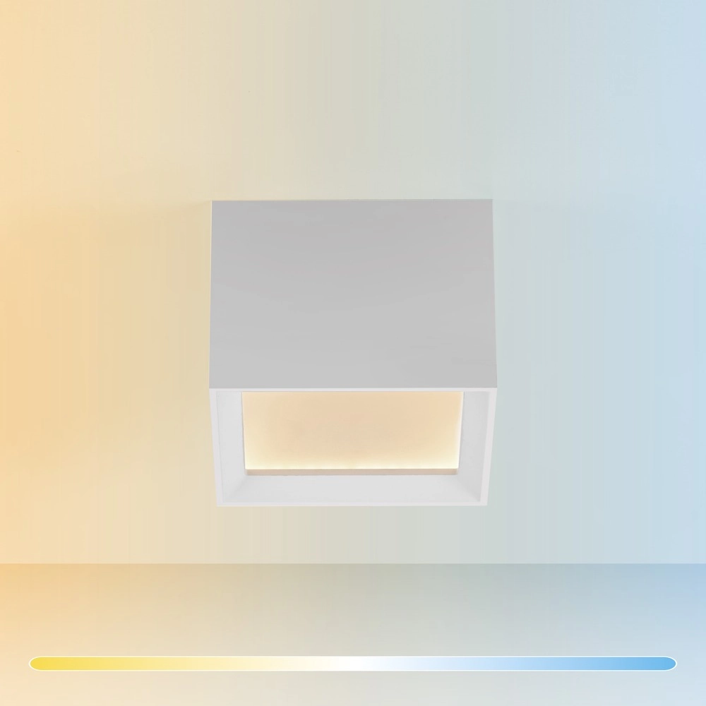 Spot à LED monté en surface Pure Manhattan Blanc Paul Neuhaus 4012248396834