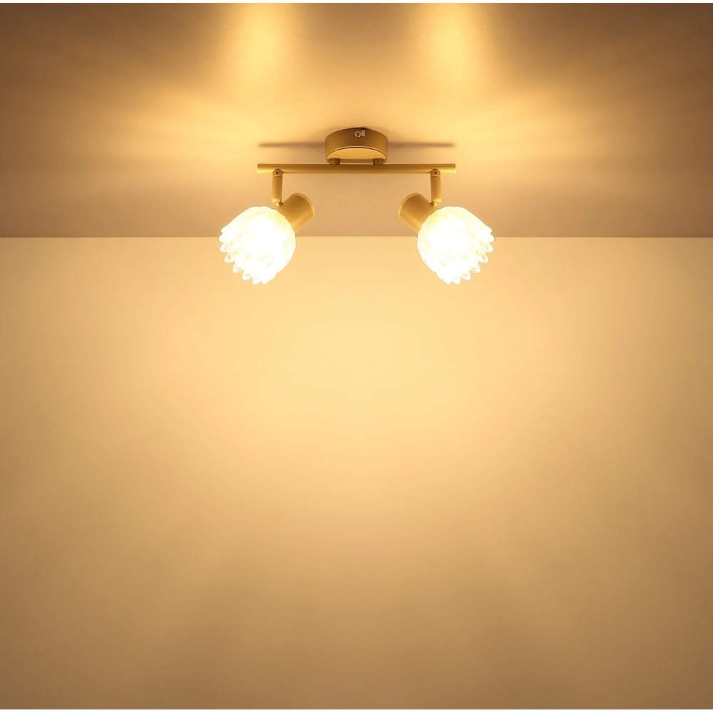 Spot de plafond à 2 lumières Planta brun sable Globo 9007371569939