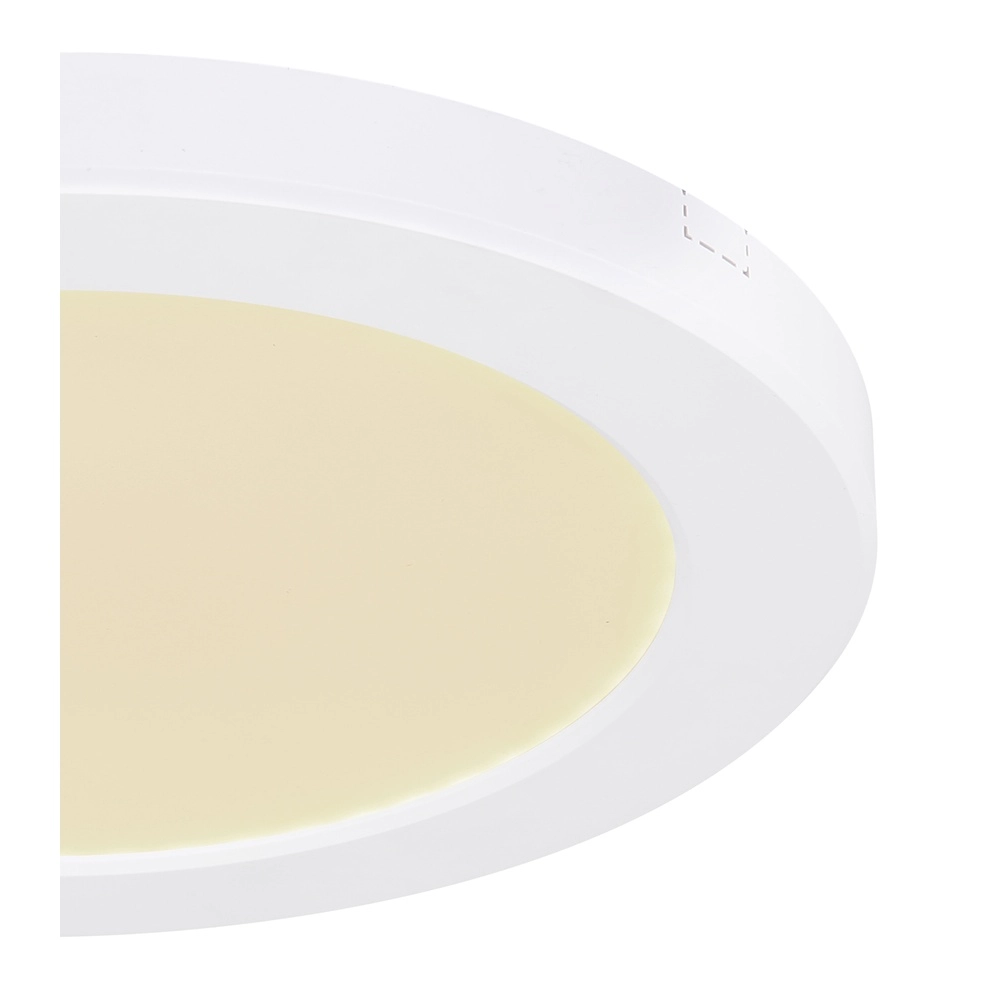 Conception de plafonds Lasse blanc Ø 22cm Globo 9007371405176