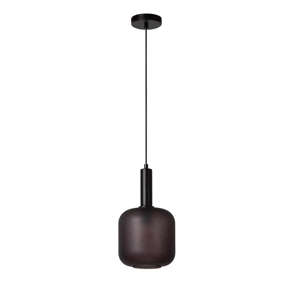 Lampe pendante noire Eloise 1-lumière Ø 21cm