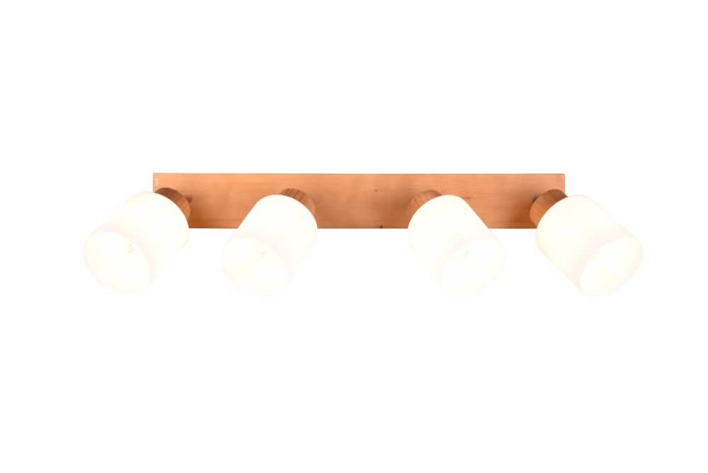 Spot de plafond rural Assam 4 lumières Trio 4017807539851