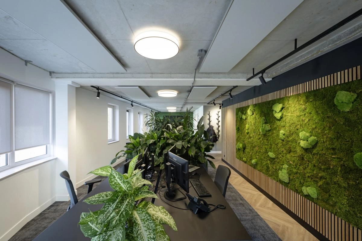 Railspot 3-phasé Numinos M Dali noir 3000K - 36 deg SLV 4024163246170