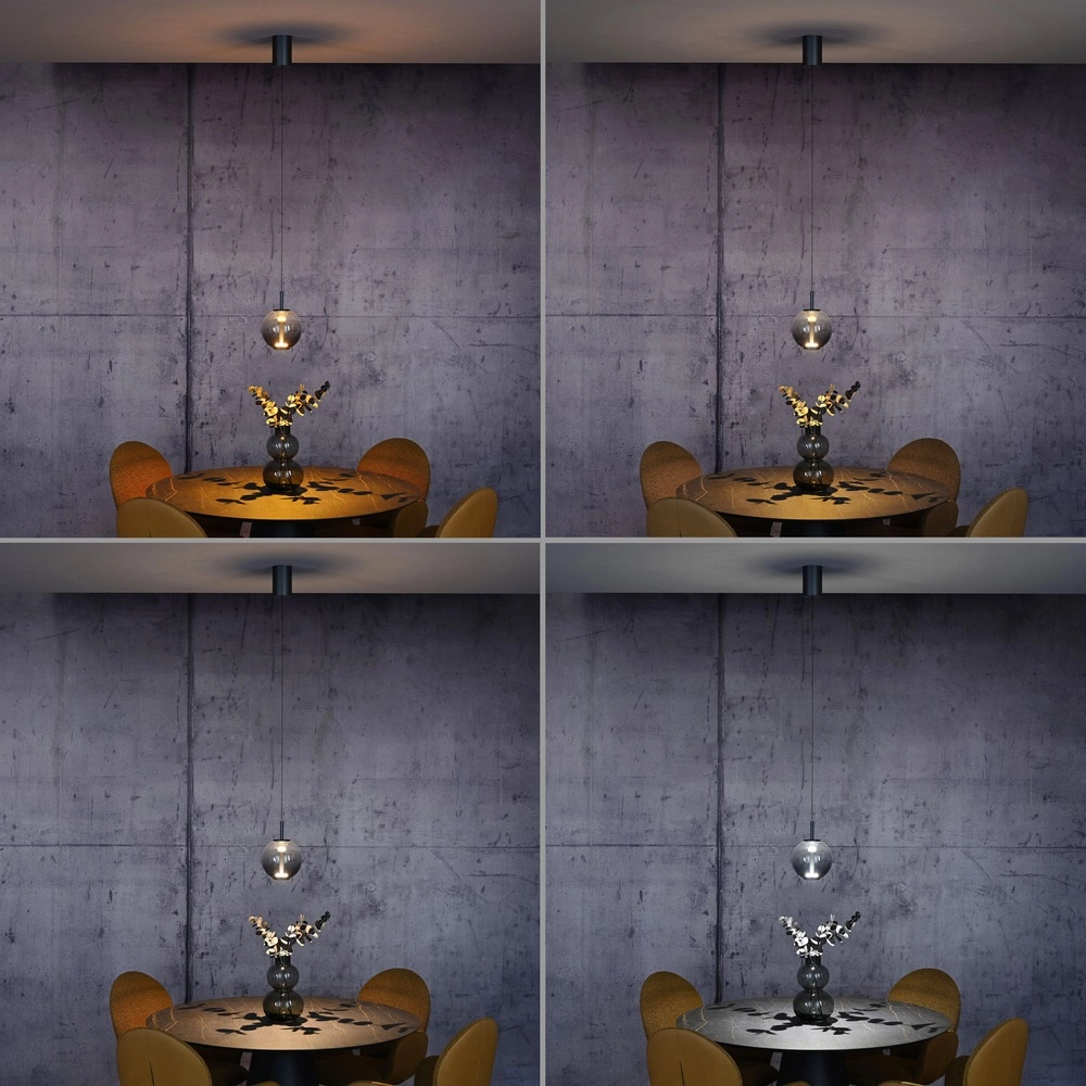 Suspension LED Pure Infinity avec verre fumé - Ø 18cm Paul Neuhaus 4012248399033