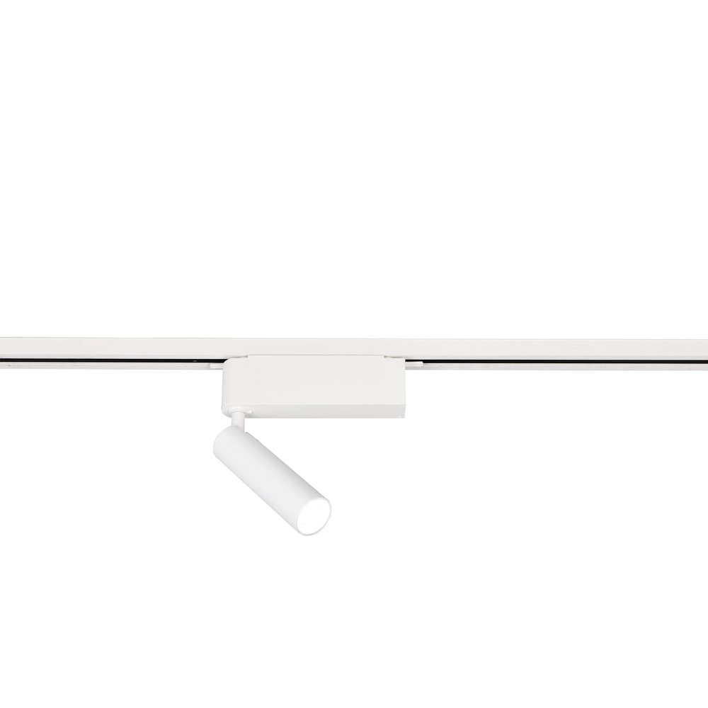 Spot ferroviaire Ambala Blanc 2 phases Trio 4017807663013