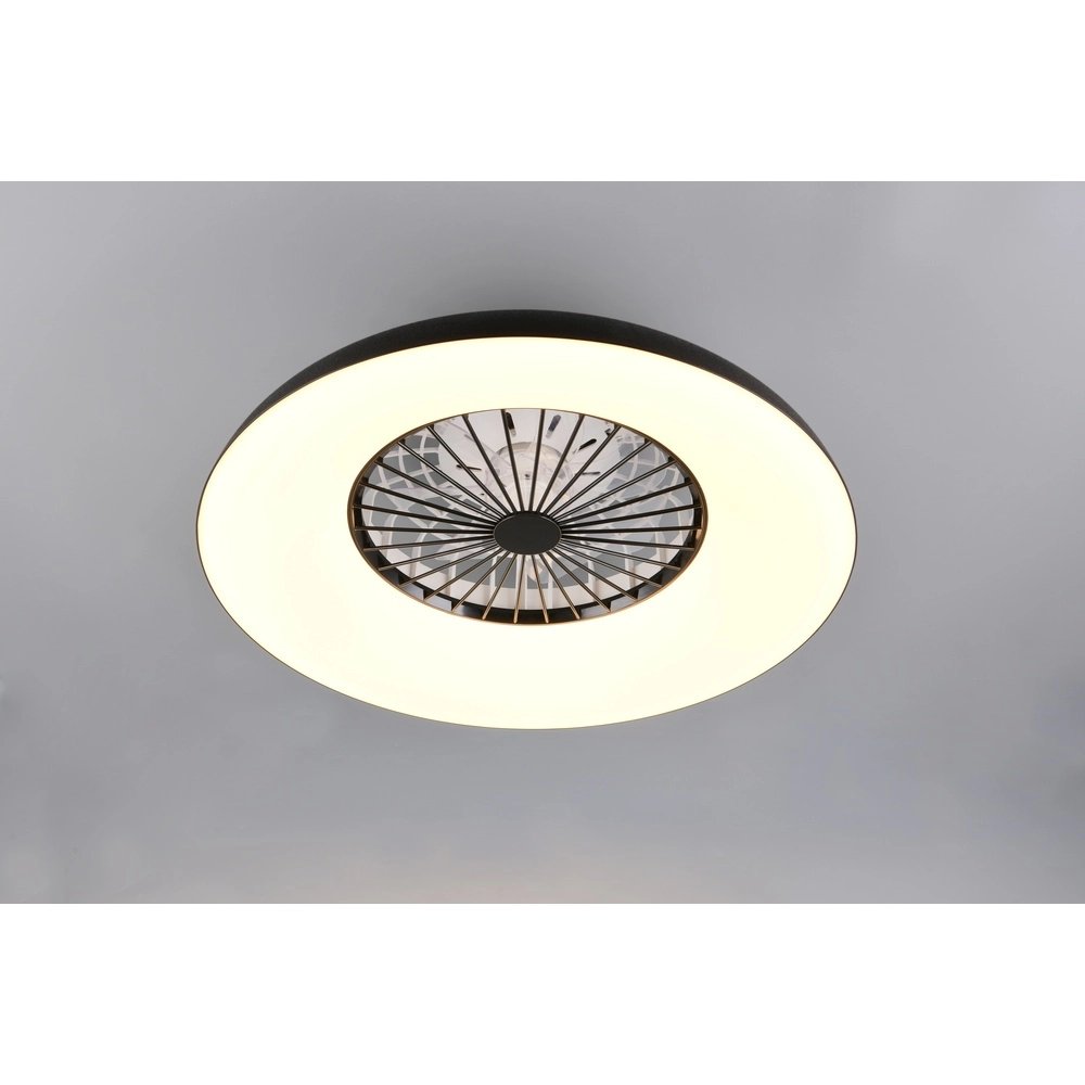 Ventilateur de conception Svaerholt noir Ø 60cm avec fonction RVB Trio 4017807688795