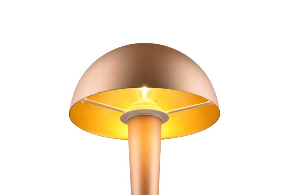Lampe de table marron Canaria conception Trio 4017807574951