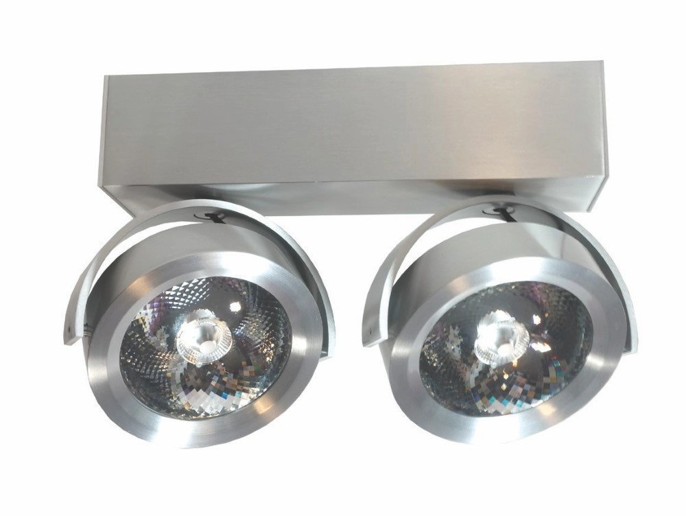 Spot de plafond LED Dutchess