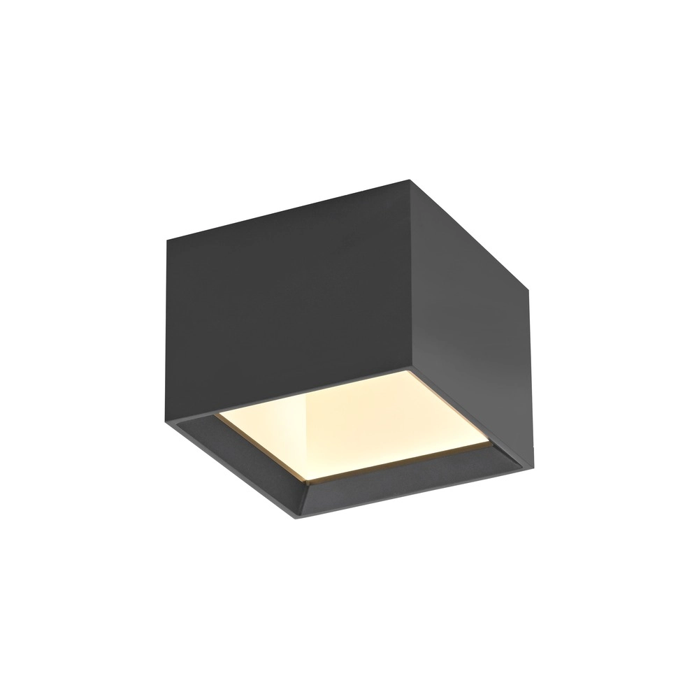 Spot à LED monté en surface Pure Manhattan Gris mystique Paul Neuhaus 4012248396827