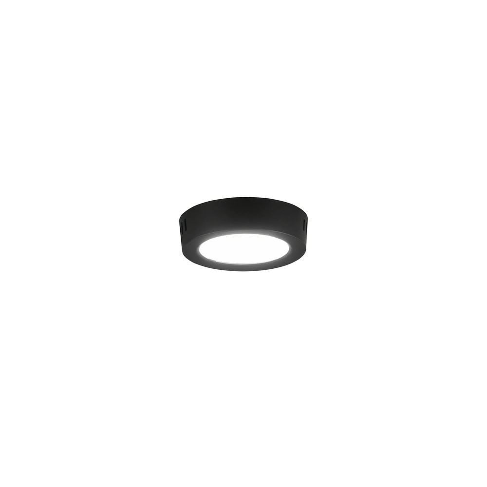 Lampe de plafond Laru Ø 12cm noir Trio 4017807711509