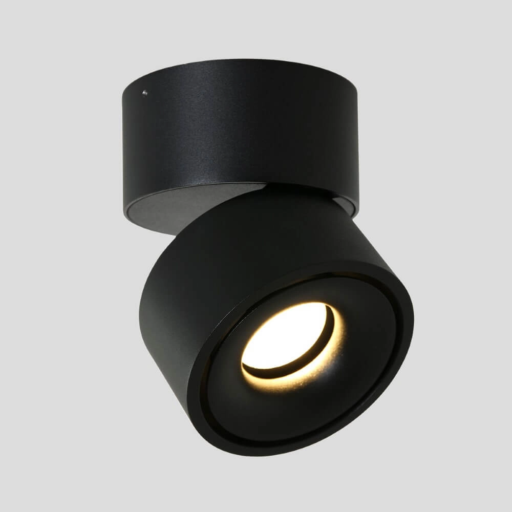 Lampe spot Fez Black noir Steinhauer 8712746132496