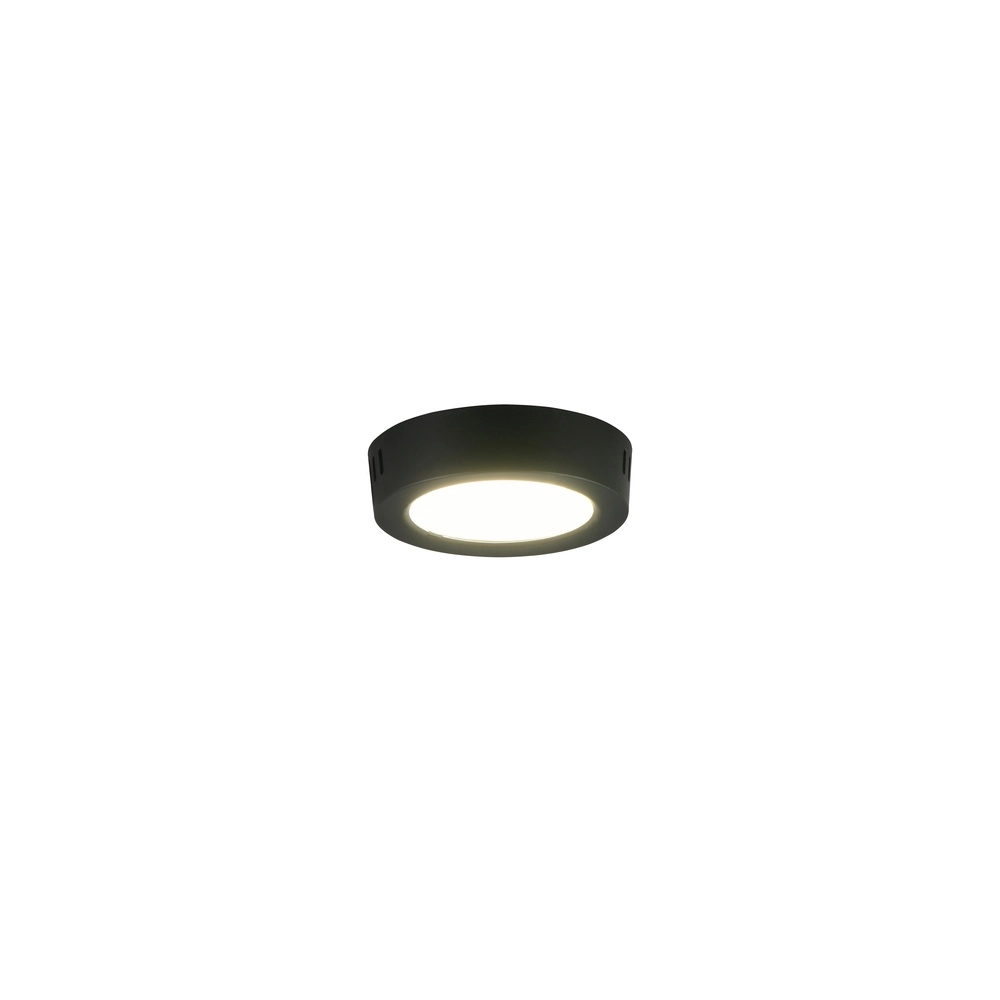 Lampe de plafond Laru Ø 12cm noir Trio 4017807711509