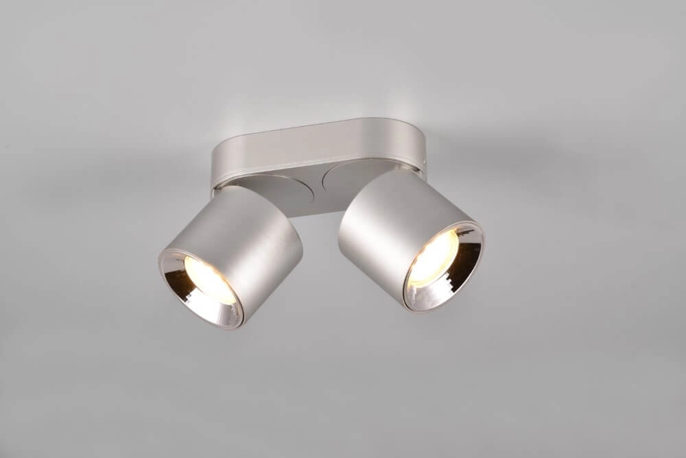 Plafonnier Guayana Nickel à 2 lumières Trio 4017807573978