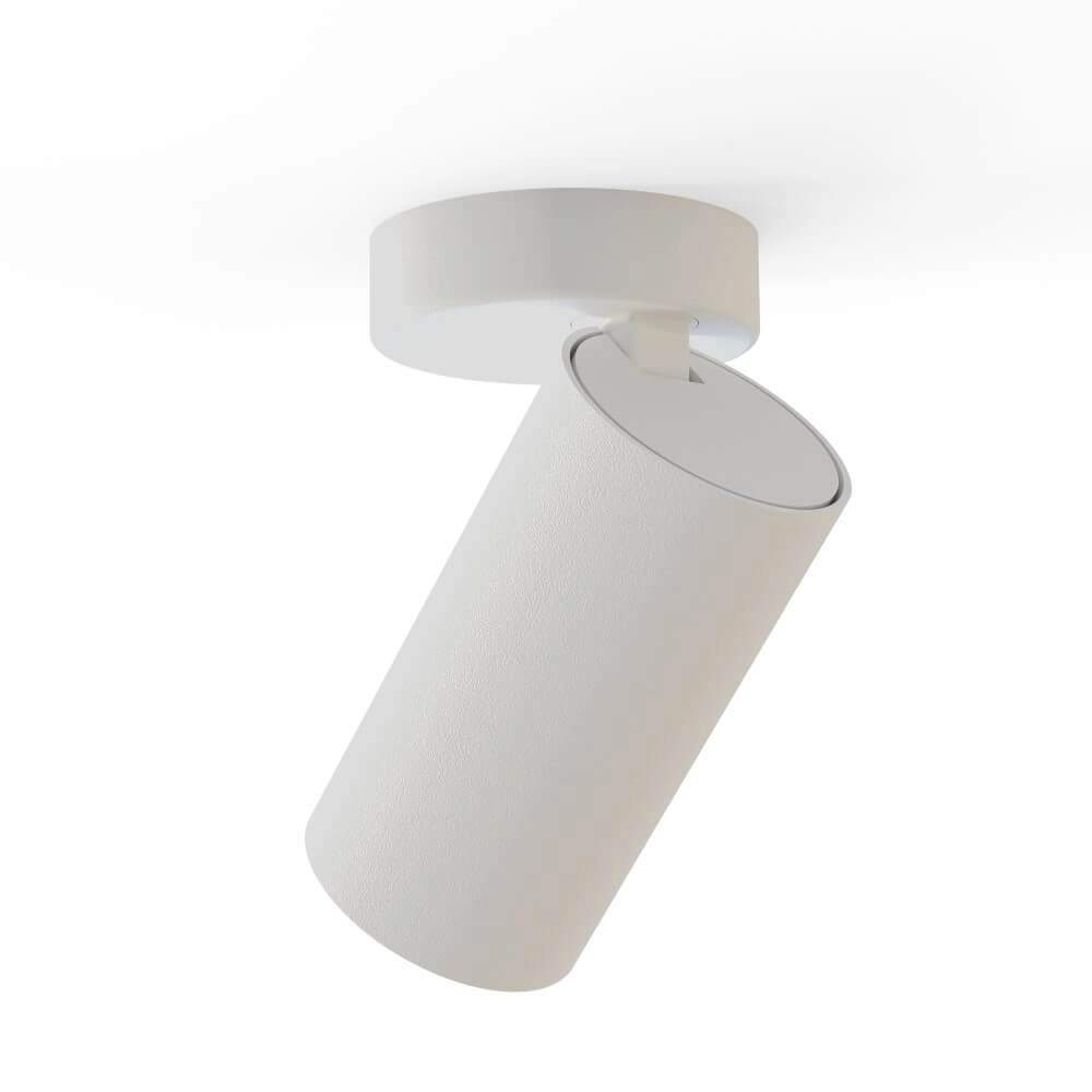 Spot en saillie blanc Mono inclinable Lyora 5903139780797