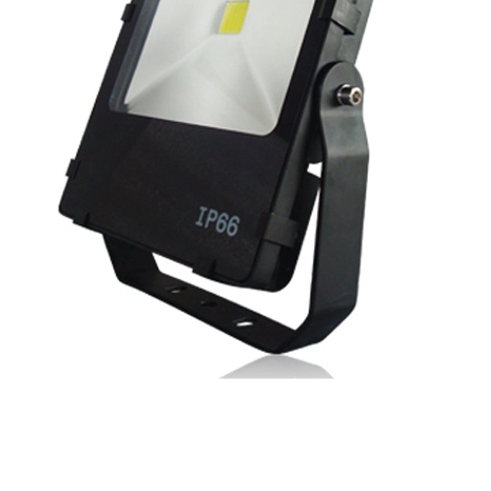 Spot LED Floodlight Franssen 8717064119686