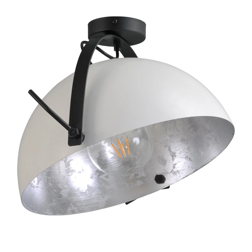 Lampe de plafond Industria Rural Masterlight 8718121236414