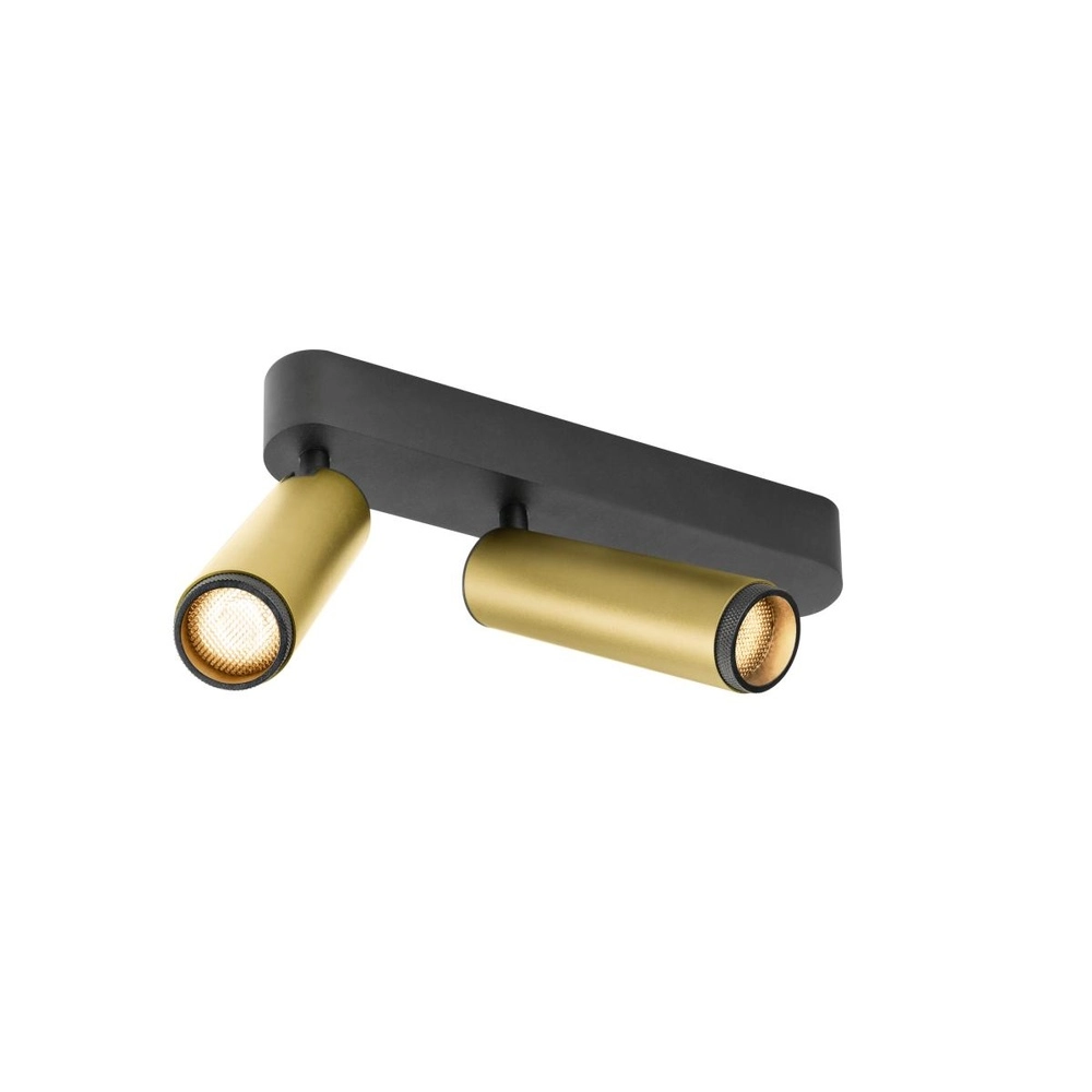 Spot monté en surface Grip! M Or 2 lumières 2700K