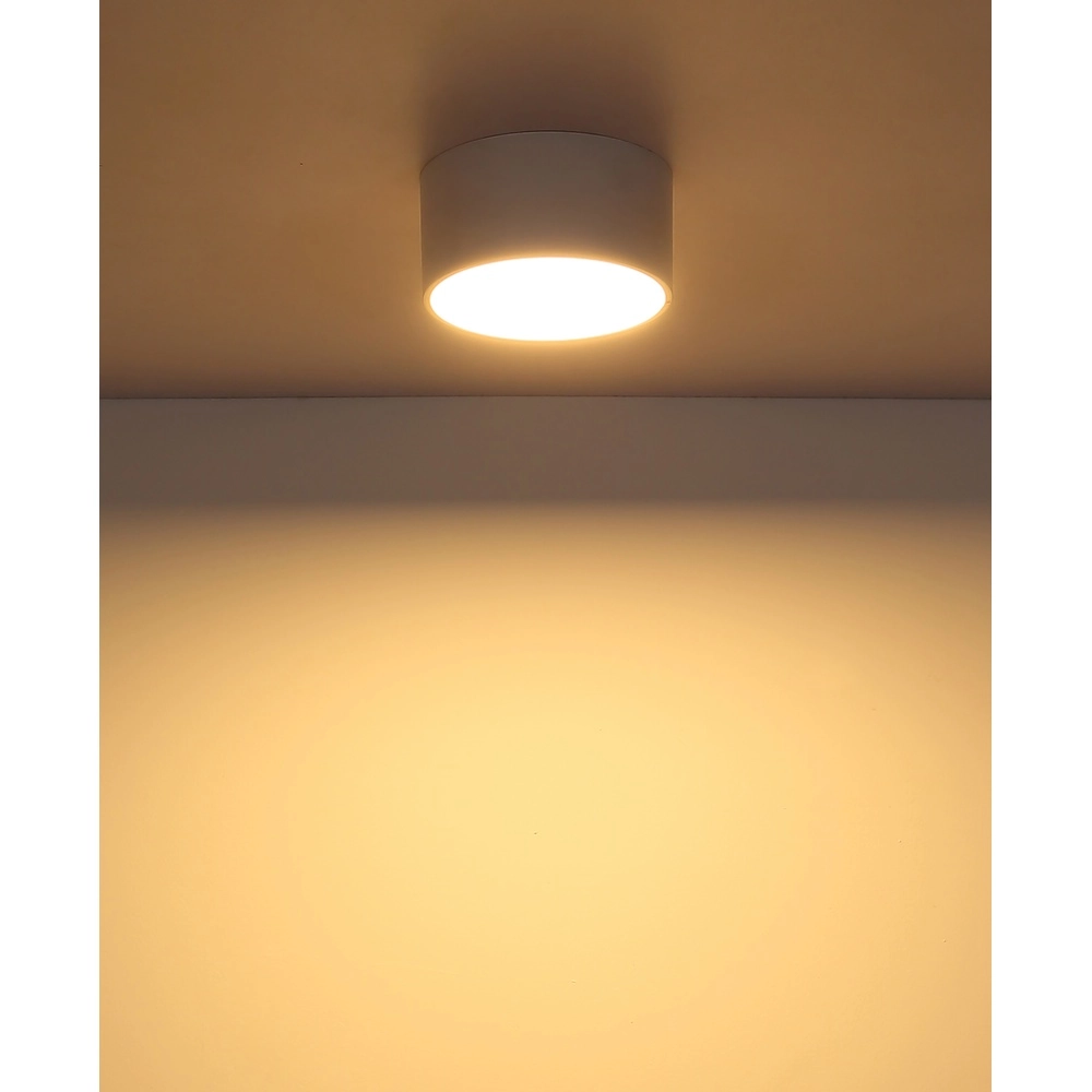 Lampe de plafond Raymond Blanc Globo 9007371531868