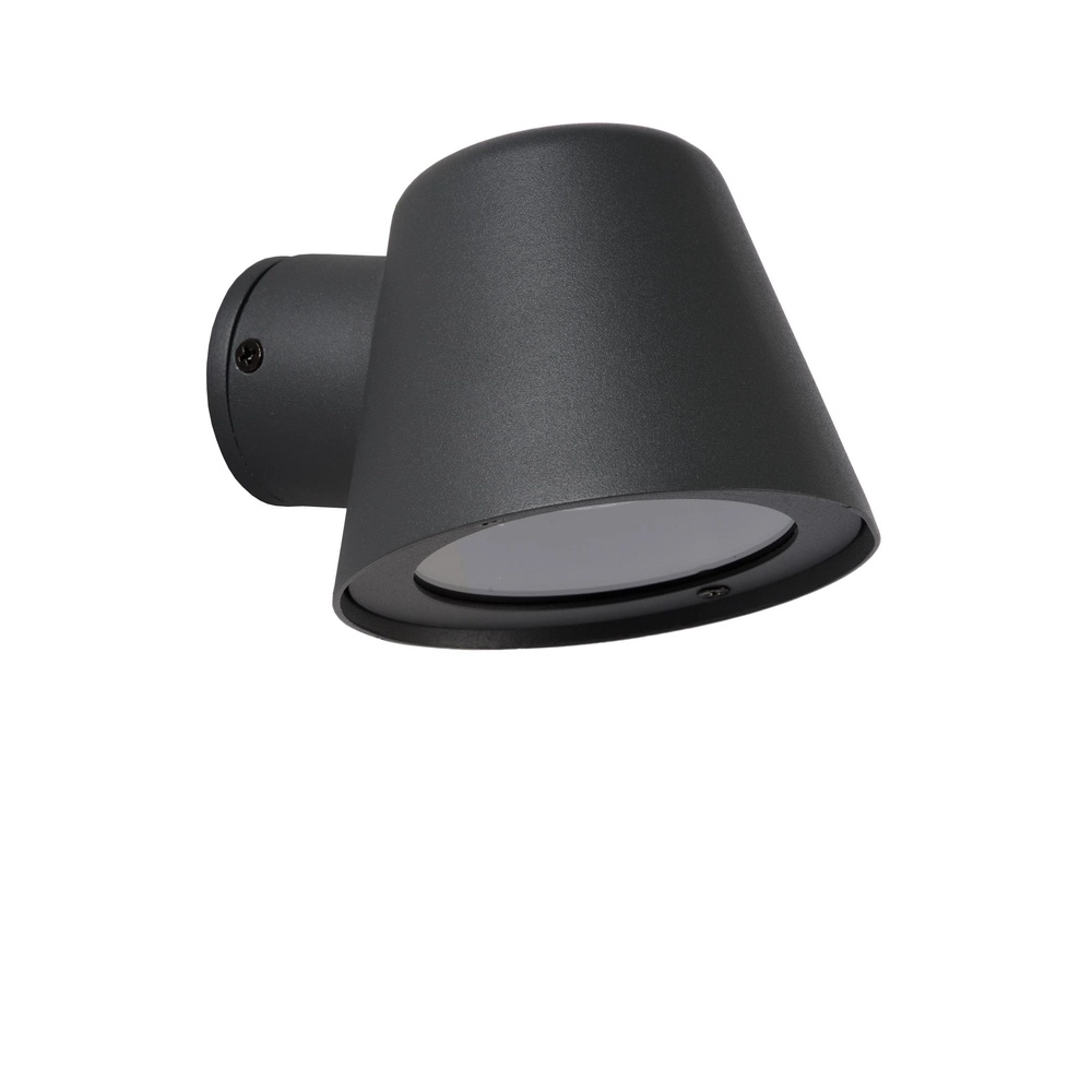 Projecteur mural Dingo-Led Anthracite IP44