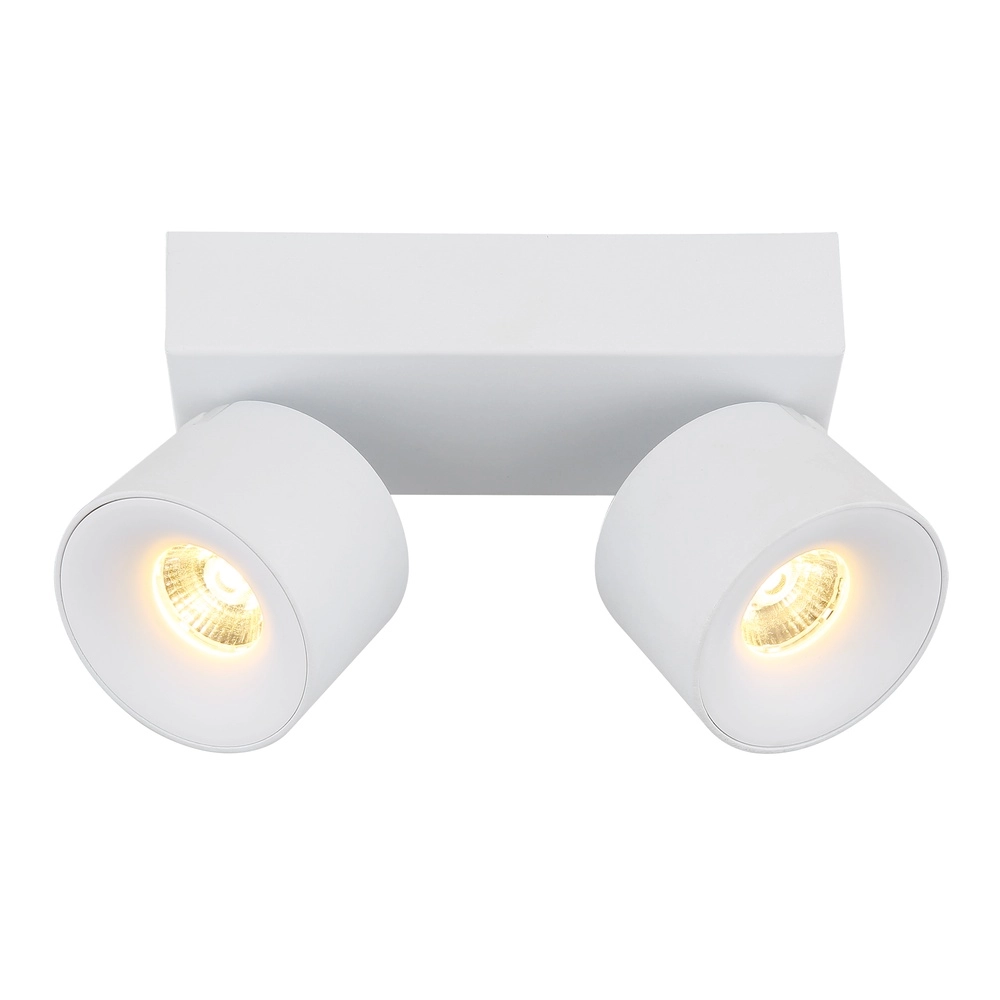 Lampe de plafond élégante Rae Blanc à deux lumières Globo 9007371450640