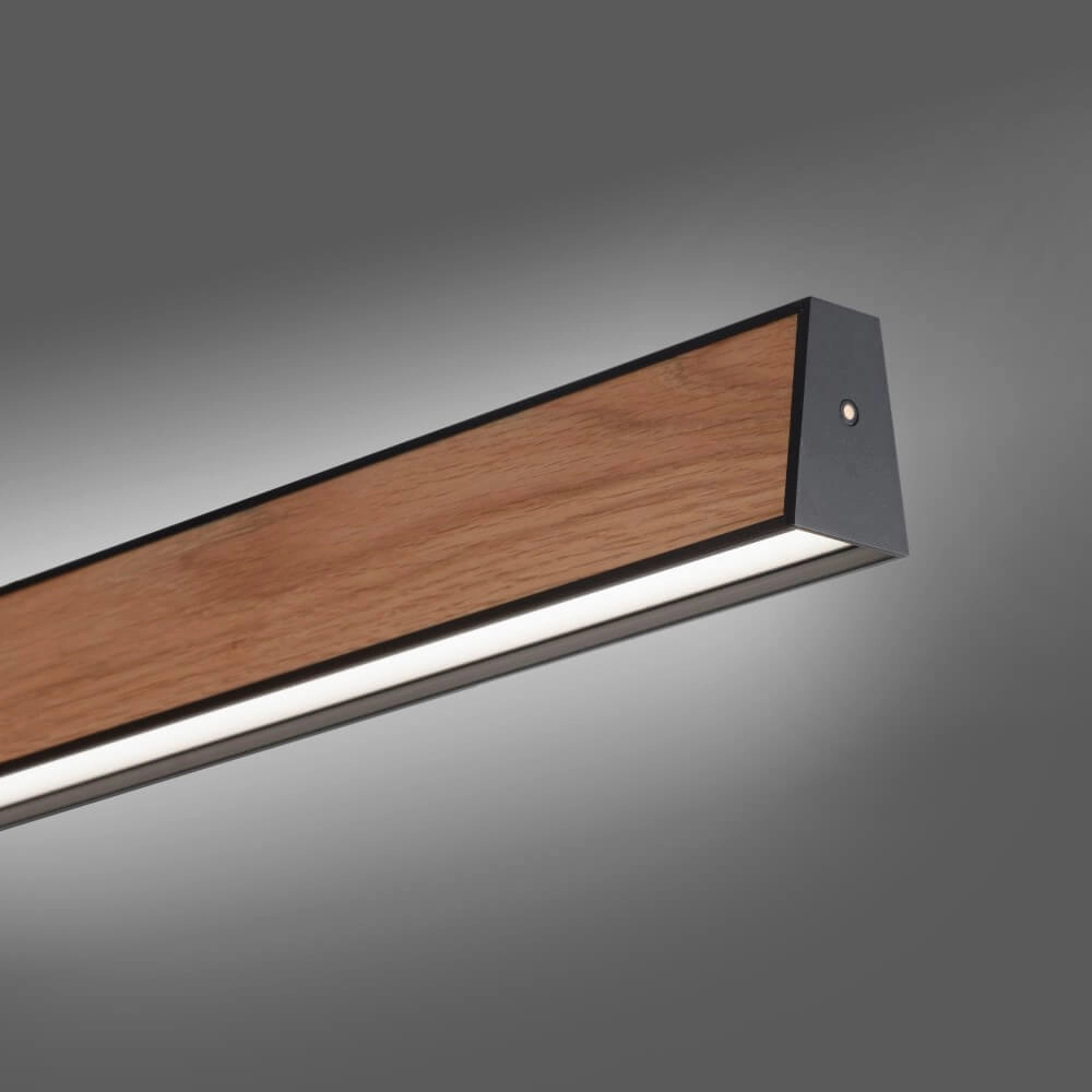 Lampe suspendue design Pure E-Motion bois Paul Neuhaus 4012248372937