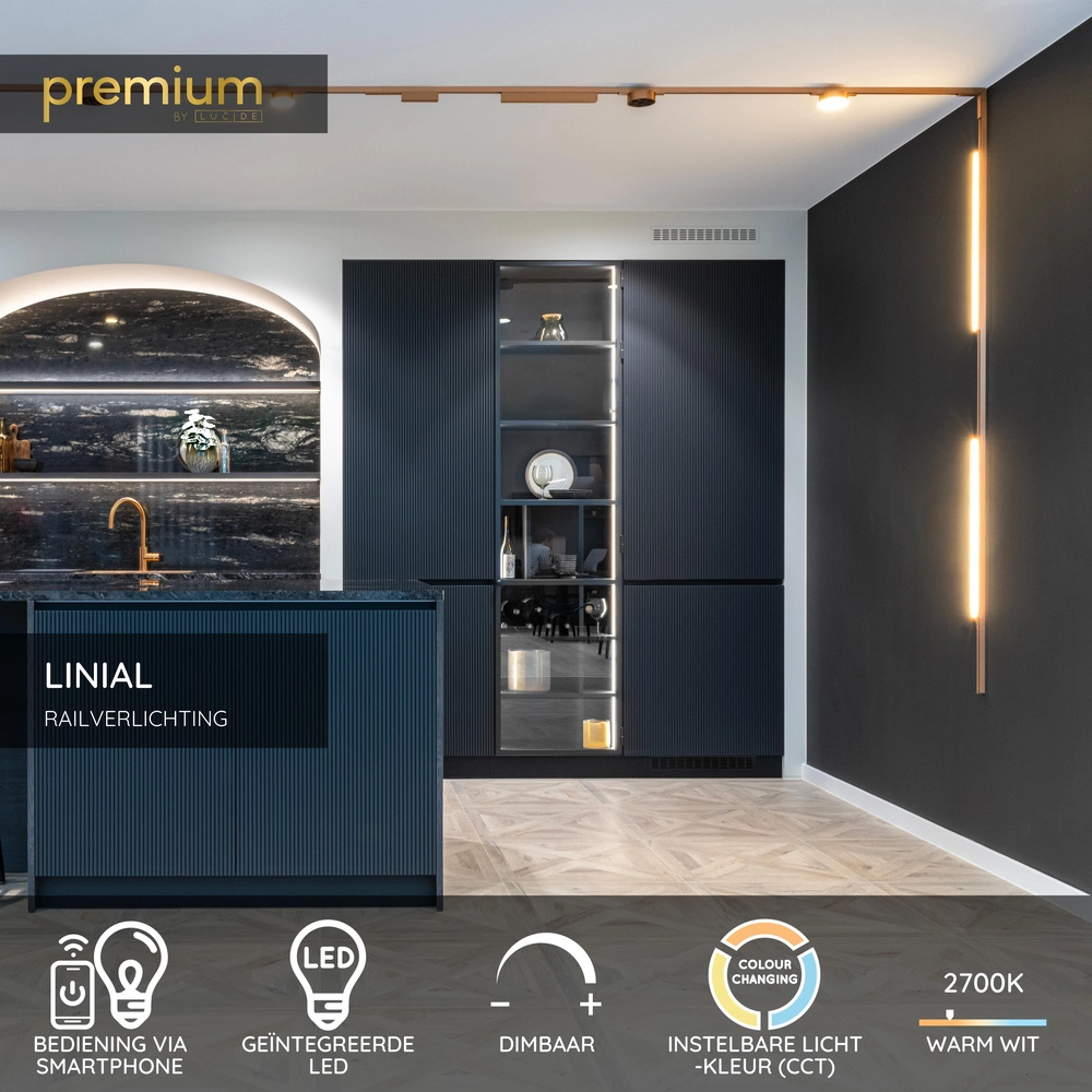 Spot sur piste monophasée Linial Xavi Champagne Premium by Lucide 5411212552556