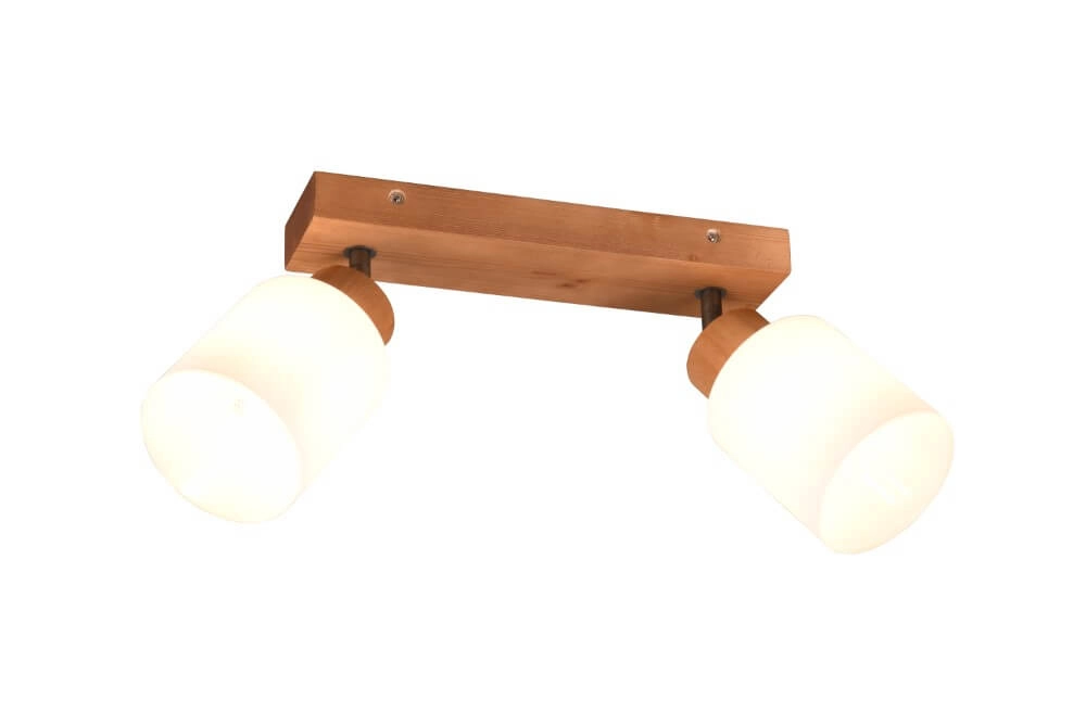 Spot de plafond rural Assam 2 lumières Trio 4017807539790