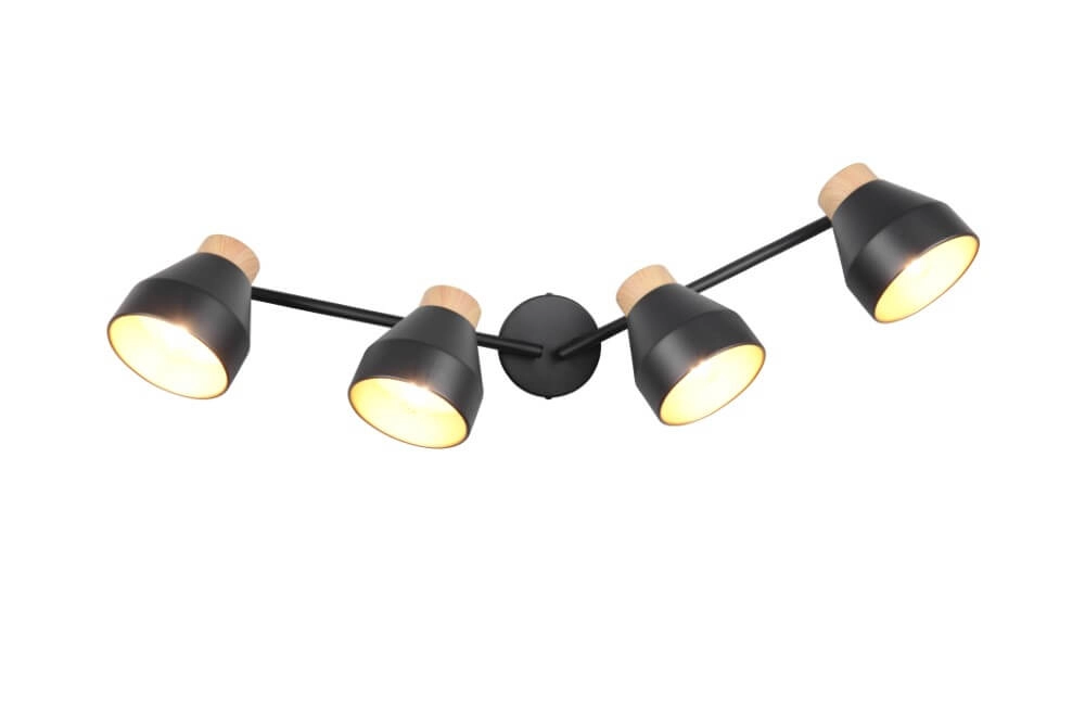 Plafonnier design 4 lumières Valentin noir Trio 4017807637434