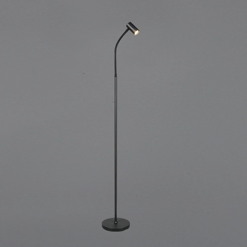 Lampadaire de conception Taryn Noir Trio 4017807685756