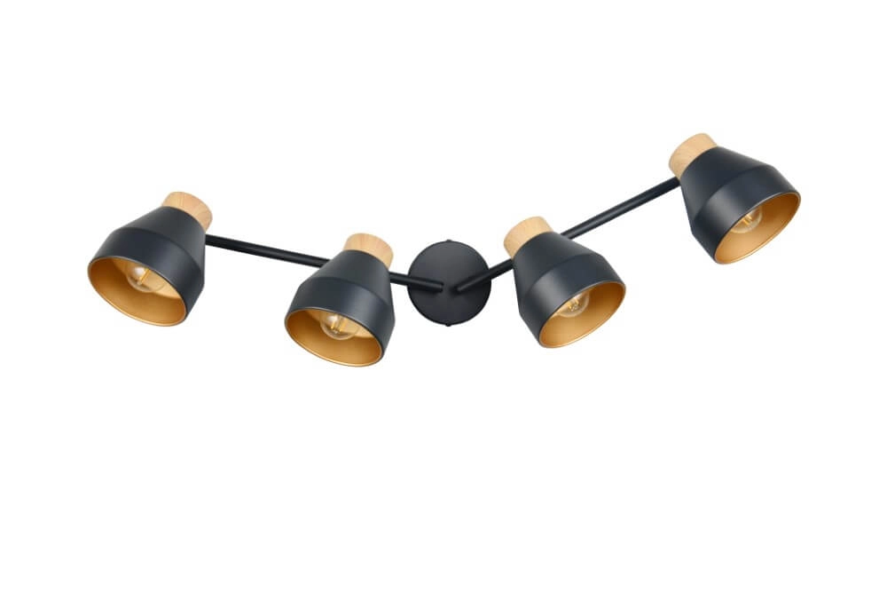 Plafonnier design 4 lumières Valentin noir Trio 4017807637434