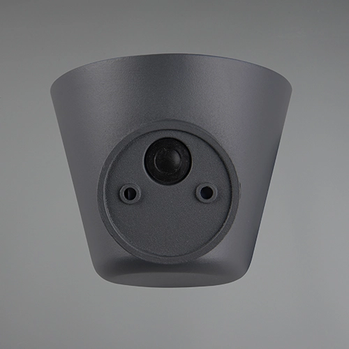 Lampe murale Beni Noir Trio 4017807691412