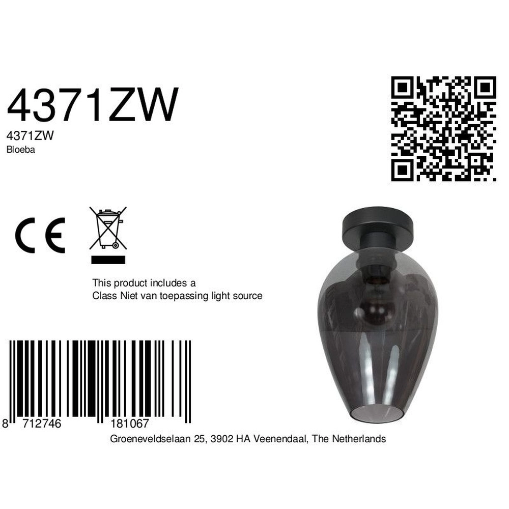 Plafonnier Bloeba verre fumé Ø 22,5cm Steinhauer 8712746181067