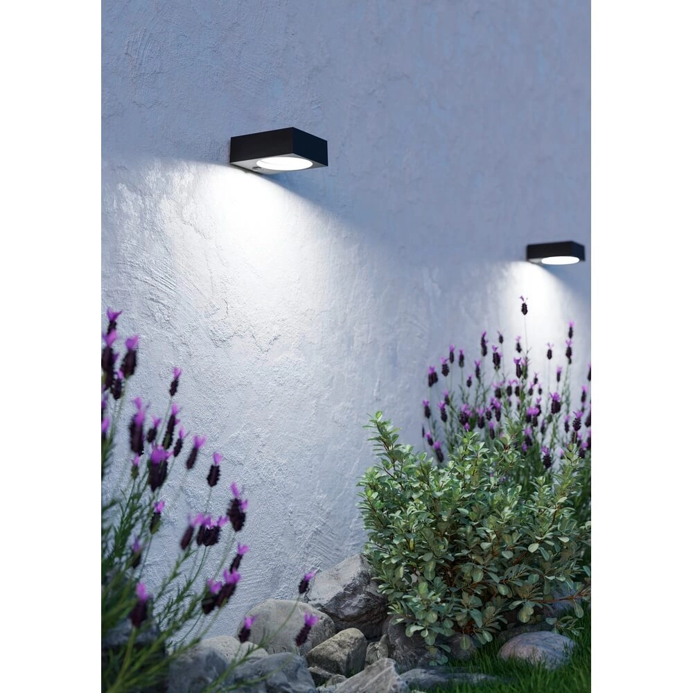 Applique murale design Darfano noir Eglo 9008606355013