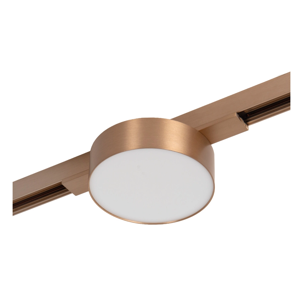 Spot sur piste monophasée Linial Fixxt Champagne Premium by Lucide 5411212552402