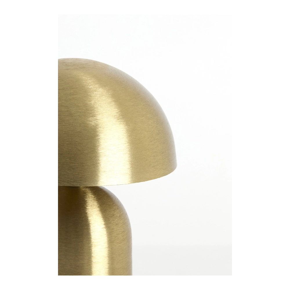 Lampe de table de conception Tolima Or massif Ø 23cm Light & Living 8717807837853