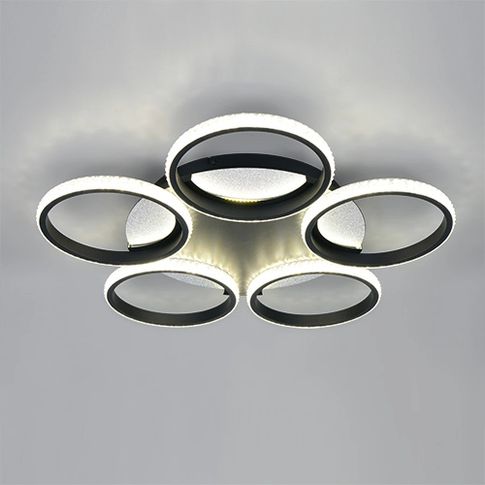 Lampe de plafond Lumer Noir Trio 4017807706390