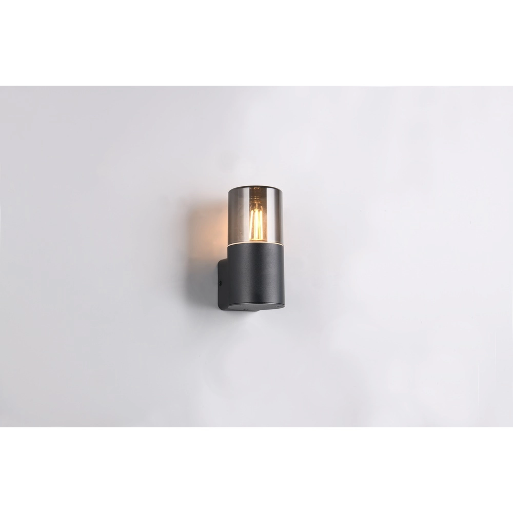 Applique murale Hoosic cheville Trio 4017807603583