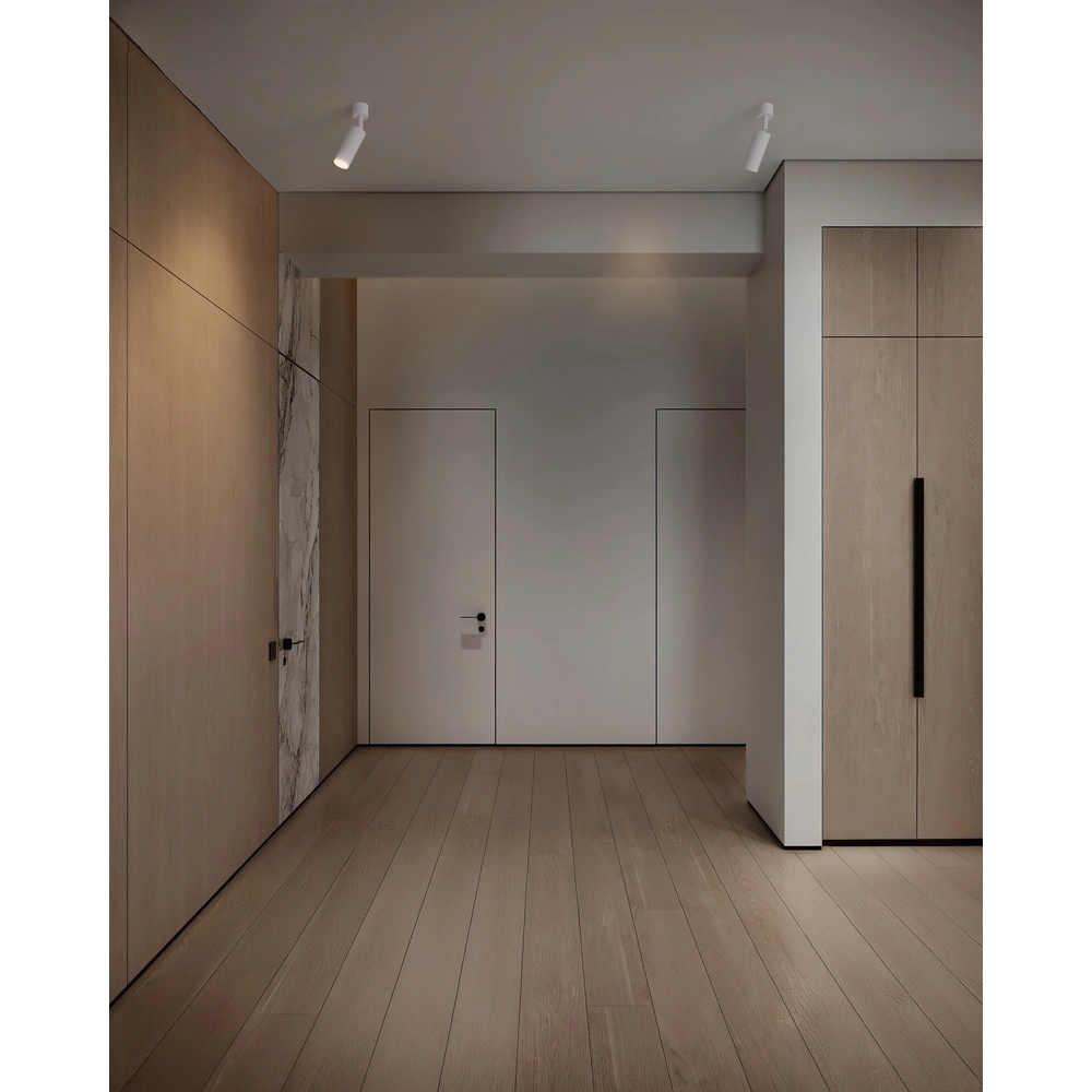 Spot de plafond Comet Blanc orientable Lyora 5212017475787