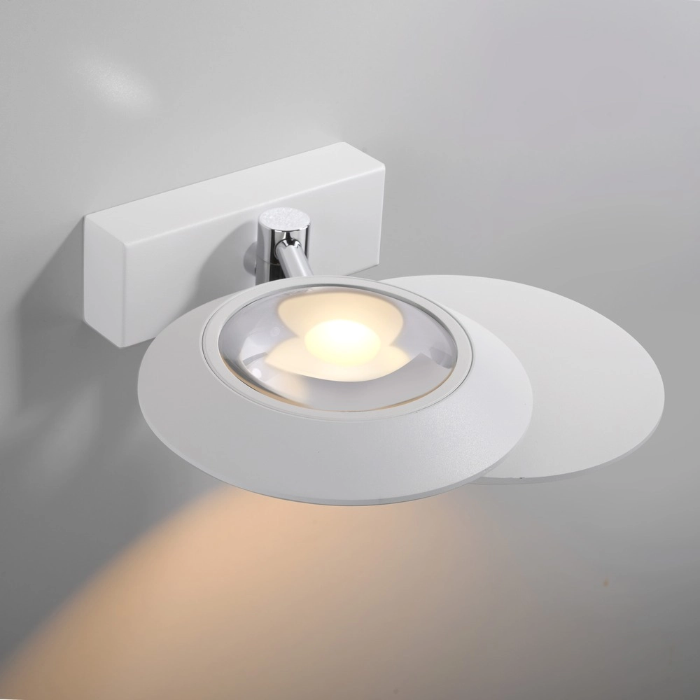 Lumière murale LED 2L Pure Oculis Blanc Paul Neuhaus 4012248397015